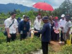 Tim Sekmil Presiden Minta Pemkab Bone Bolango Perhatikan Harga Cabai Organik