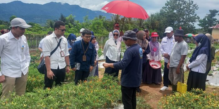Tim Sekmil Presiden Minta Pemkab Bone Bolango Perhatikan Harga Cabai Organik