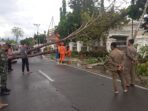 Sejumlah Pohon di Kota Gorontalo Tumbang, Termasuk Depan Rudis Wagub