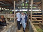 Sekmil Presiden Soroti Program Ternak Rakyat Mandiri di Bone Bolango