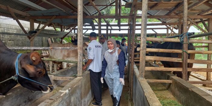 Sekmil Presiden Soroti Program Ternak Rakyat Mandiri di Bone Bolango