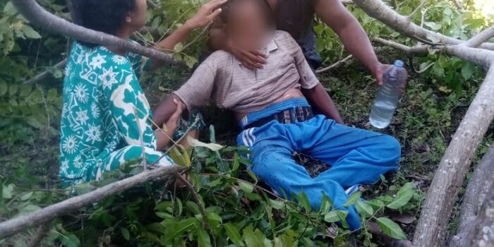 Tukang Sensor Lalai, Pohon Dirobohkan Timpa Warga di Pohuwato hingga Meninggal