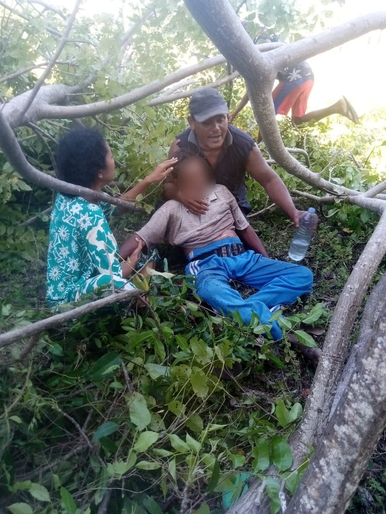 Warga Tertimpa Pohon