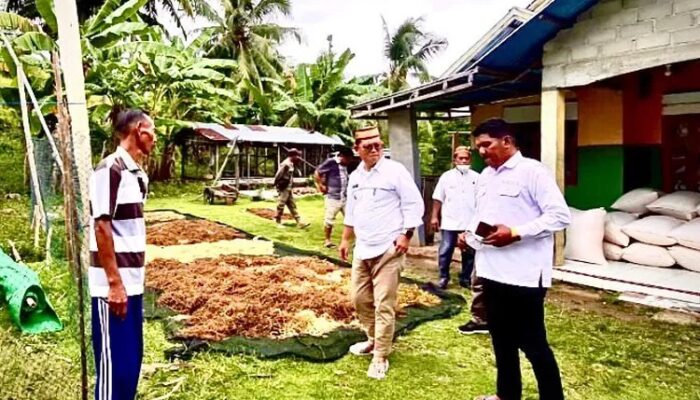 Bupati Thariq Tanggapi Keluhan Soal Harga Rumput Laut tak Menentu