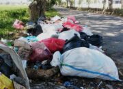 Tempat Pembuangan Sampah Liar di Kabupaten Gorontalo Merajalela, Ini Tanggapan DLH