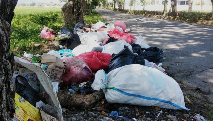 Tempat Pembuangan Sampah Liar di Kabupaten Gorontalo Merajalela, Ini Tanggapan DLH