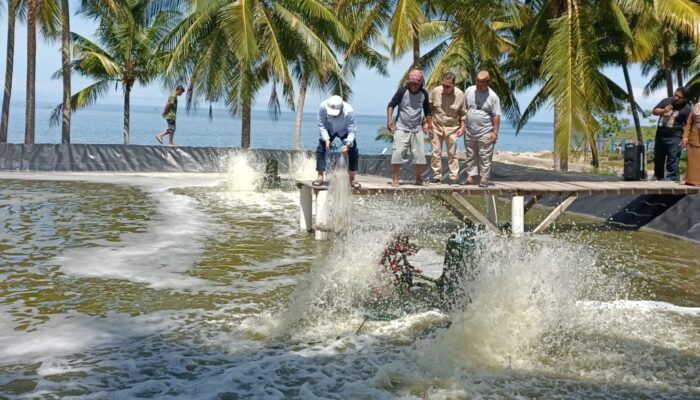 Kembangkan Budidaya Udang Vename, Hamim Pou Ajak Warga Manfaatkan KUR