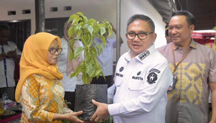 Pemkot Gorontalo Bagikan 3.700 Bibit Cabai untuk Tekan Inflasi