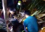 Sedang Tidur dalam Kamar, Bayi di Gorontalo Tewas Tertimpa Pohon kelapa