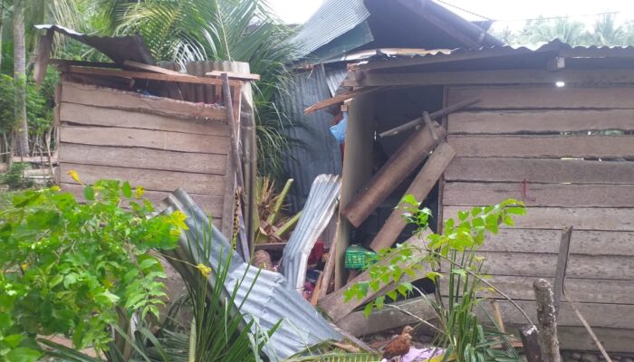 BPBD Kabupaten Gorontalo akan Tinjau Lokasi Bayi Tertimpa Pohon Kelapa