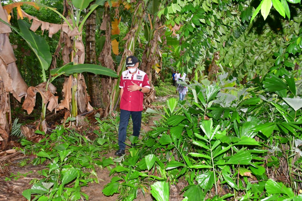 Bupati Pohuwato