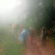 Pencarian orang hilang