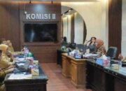Komisi II Deprov Tanggapi Program UMKM Naik Kelas
