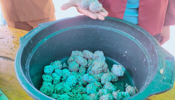 Sampah Rumah Tangga Diubah Jadi Briket, Begini Prosesnya!