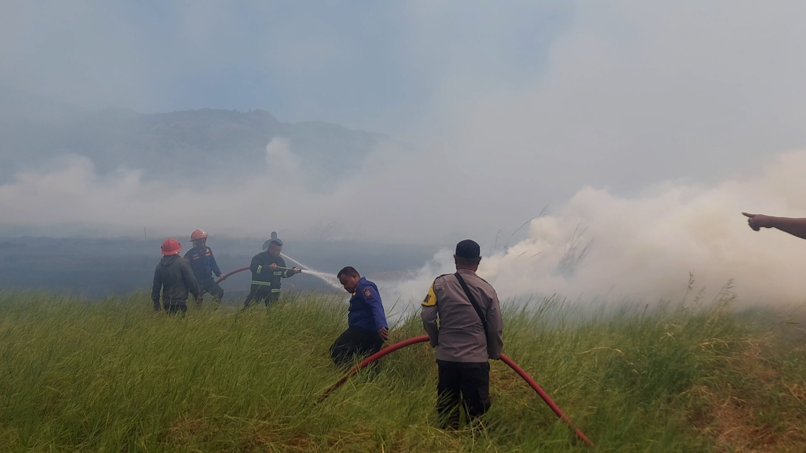 Kebakaran lahan Pertanian