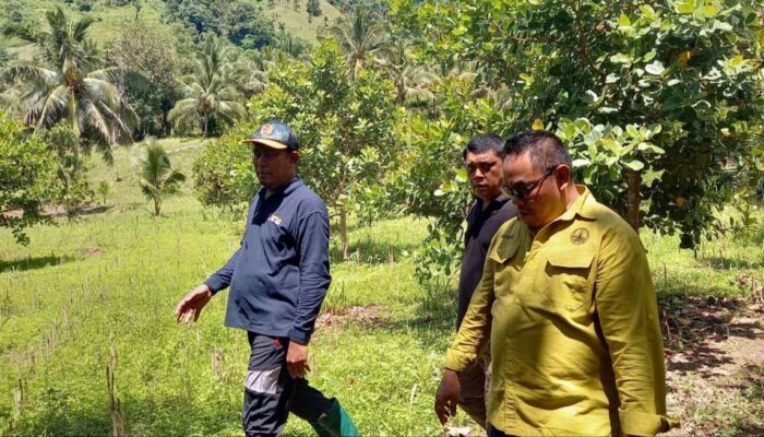 Fayzal Lamakaraka Tekankan Monitoring RHL Agroforestry untuk Penentuan Kebijakan