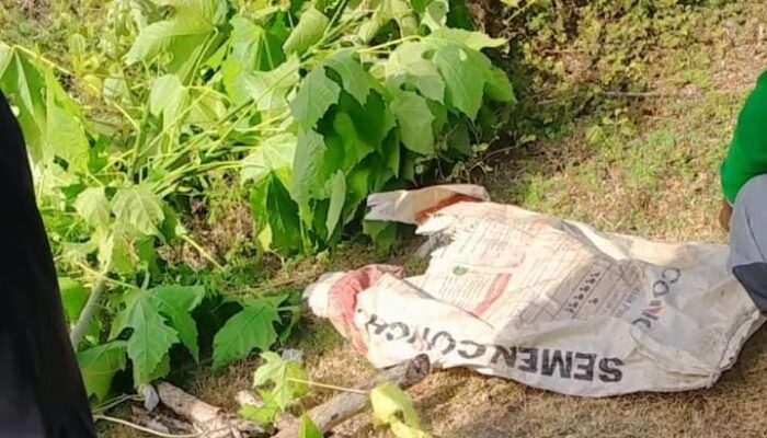 Penemuan Jasad Bayi 7 Bulan Hebohkan Warga Gorontalo