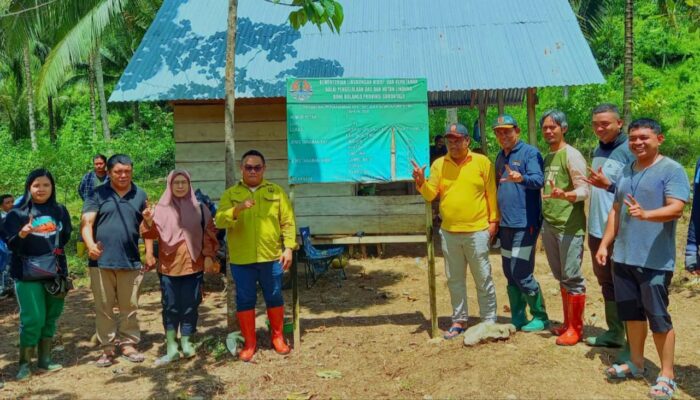 Dinas LHK – BPDAS Bone Bolango Monitoring Perkembangan Tanaman RHL Agroforestry