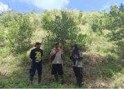 Desa Totopo Gorontalo Jadi Kawasan RHL Agroforestry 