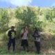 RHL Agroforestry  Gorontalo