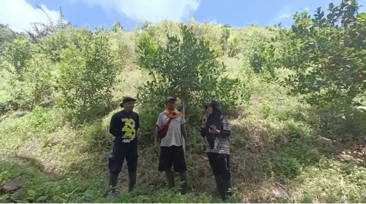 RHL Agroforestry  Gorontalo