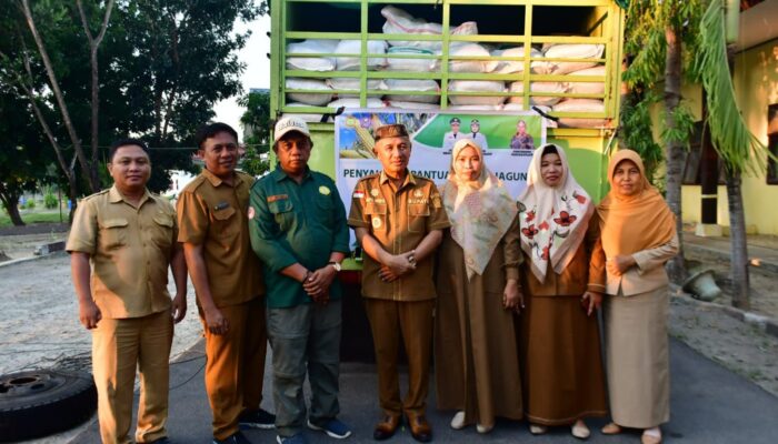 Pemda Pohuwato Serahkan 103,47 Ton Benih Jagung Gratis ke Petani
