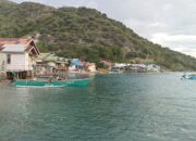 Waspada Buaya, Warga Diimbau tidak Mandi di Pesisir Pantai Leato