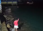 Buaya Muncul di Pantai Leato Selatan Gemparkan Warga