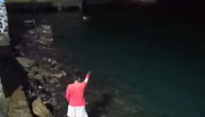 Buaya Muncul di Pantai Leato Selatan Gemparkan Warga