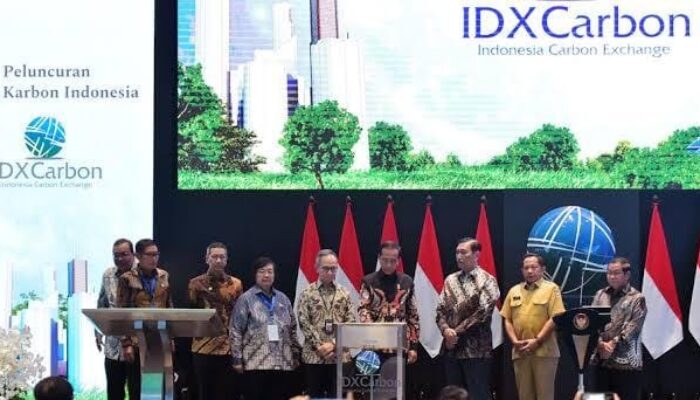 Lawan Krisis Iklim Global, Indonesia Mulai Luncurkan Bursa Karbon