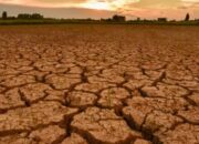 Waspada Dampak Kekeringan Berkepanjangan untuk Kesehatan