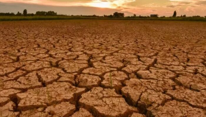 Waspada Dampak Kekeringan Berkepanjangan untuk Kesehatan