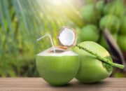 IDI Kabupaten Gorontalo Beberkan Manfaat Minum Air Kelapa 