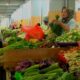 Pedagang Sayur