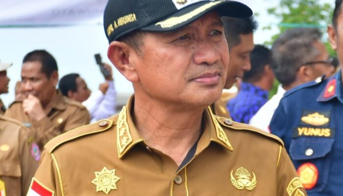 Bupati Saipul Sebut Proposal Penambang Pohuwato Diminta DPR RI