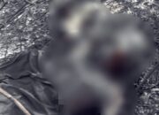 Seorang Warga Gorontalo Tewas Terpanggang di Lahan Terbakar