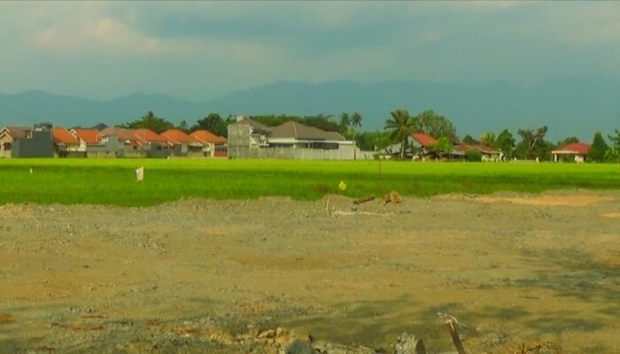 Jadi Sasaran Pembangunan, Luas Sawah di Kota Gorontalo Berkurang