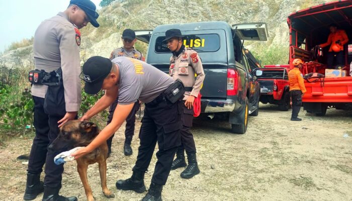Orang Hilang di Siendeng, Anjing Pelacak Temukan Tanda-tanda Keberadaan Korban