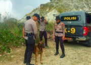Pencarian Orang Hilang di Siendeng Kerahkan Anjing Pelacak K-9