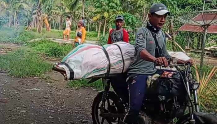 Dua Penambang Emas di Gorontalo Tewas Tertimpa Pohon