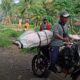 Penambang Tewas Gorontalo