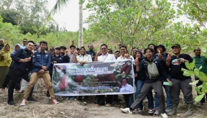 Panen Perdana Jambu Mete, Sekditjen PADSRH: Program RHL Harus Berlanjut