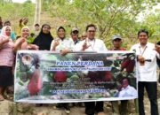 Tanaman Hasil Program RHL Diharapkan Tingkatkan Perekonomian di Gorontalo