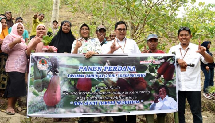 Tanaman Hasil Program RHL Diharapkan Tingkatkan Perekonomian di Gorontalo