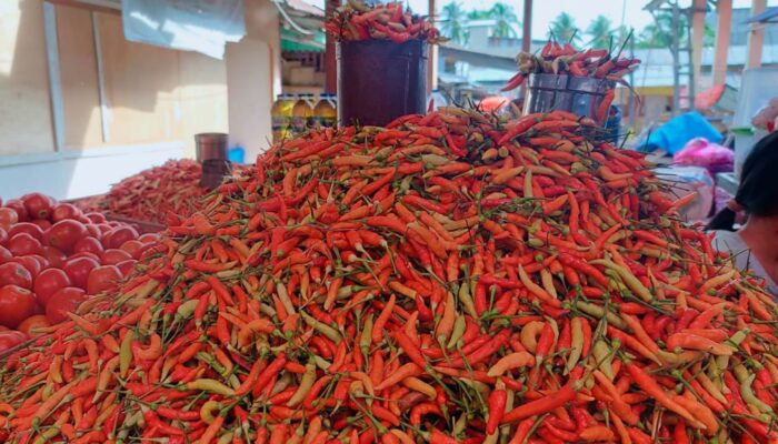 Harga Cabai Rawit di Pohuwato Terus Meroket Hingga 110 Ribu/Kg