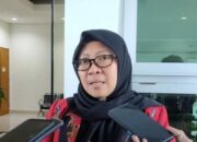 Espin Tulie: Tak Ada Lagi Rawat Inap di Puskesmas