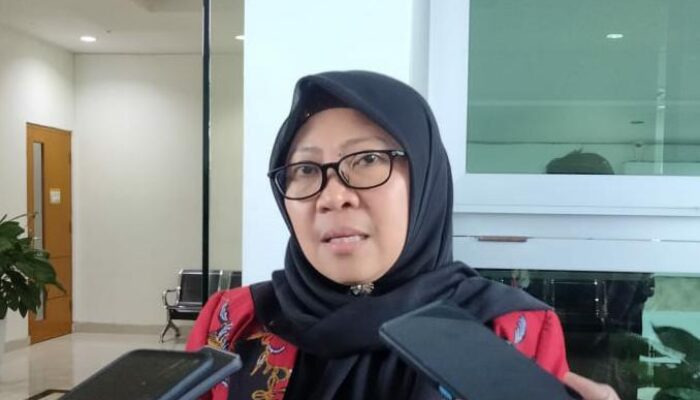 Espin Tulie: Tak Ada Lagi Rawat Inap di Puskesmas