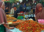 Harga Cabai Rawit di Gorontalo Mulai Turun Hingga Rp50 Ribu/kg
