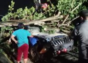 4 Orang jadi Korban Akibat Pohon Tumbang Depan Polda Gorontalo