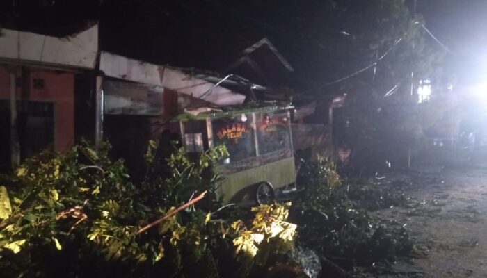 Pohon Tumbang di Gorontalo, Timpa Gerobak Pedagang Sedang Jualan